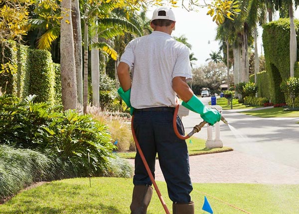 About Wabasso MN Pest Control